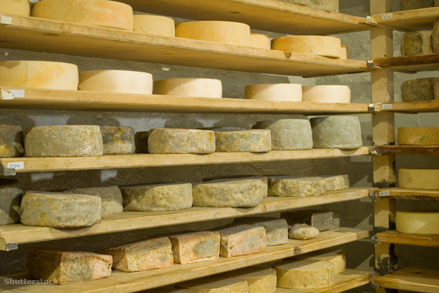 Kézműves sajtok