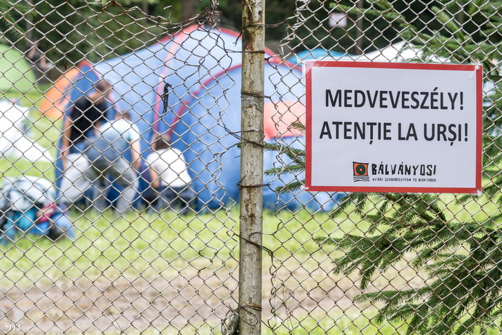 Medveveszélyre figyelmeztető tábla a 29. Bálványosi Nyári Szabadegyetem és Diáktáborban az erdélyi Tusnádfürdőn 2018. július 24-én