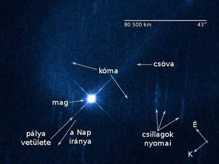 A felvétel 2010. december 27-én készült a HST WFPC3 kamerájával az (596) Scheila kisbolygóról, melynek távolsága akkor mintegy 350 millió kilométer volt. Az aszteroidát egy C alakú, a becsapódás következtében létrejött porfelhő (kóma) veszi körül, de jól azonosítható egy szintén porból álló egyenes csóva is a kisbolygó mögött. A mintegy 110 kilométer átmérőjű aszteroida képe túlexponált, hogy a halvány por részletei jobban kivehetők legyenek. [NASA, ESA, Z. Levay (STScI)]