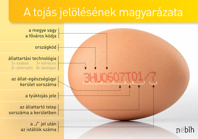 nyers tojás és a szív egészsége)