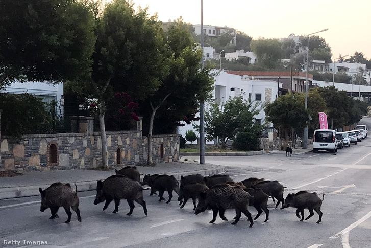 A fotó illusztráció!