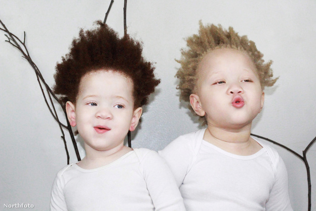 tk3s swns albino babies 06