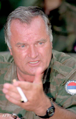Mladics 1995-ben