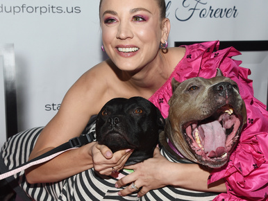 Kaley Cuoco ennyire szereti a pitbullokat