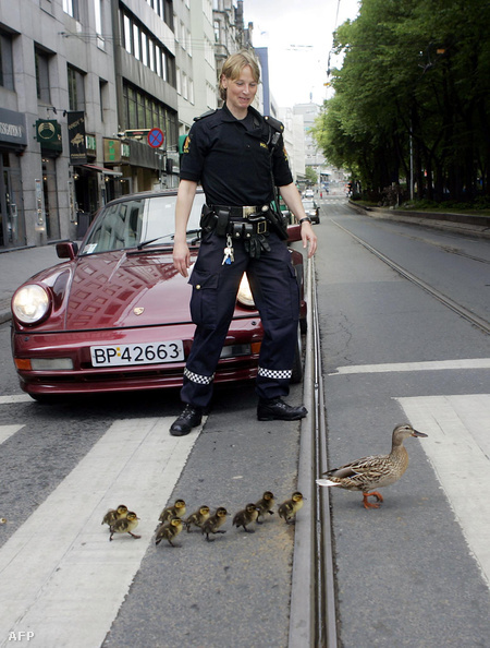 A tipikus norvég rendőr