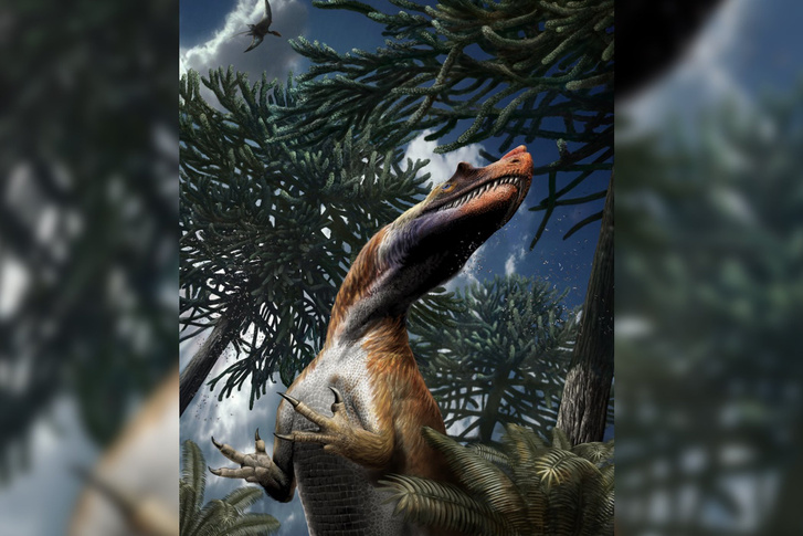 Így nézhetett ki az alpesi ceratosaurus