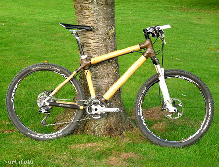 tk3s swns bamboo bike 040069933