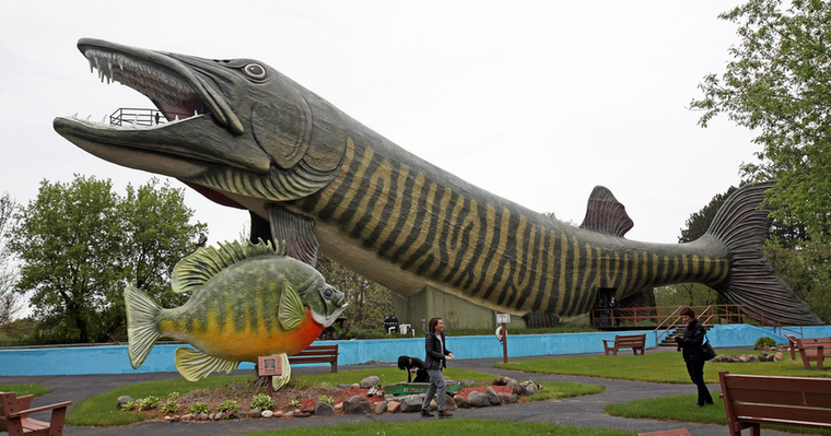 
                        A világ legnagyobb halszobra, Wisconsin
                        
                        Az építészeti rekordokat habzsoló Dubajt egyelőre hidegen hagyja a téma, így lehet, hogy a világ legnagyobb halszobra egy wisconsini kisváros, Hayward halmúzeuma mellett áll