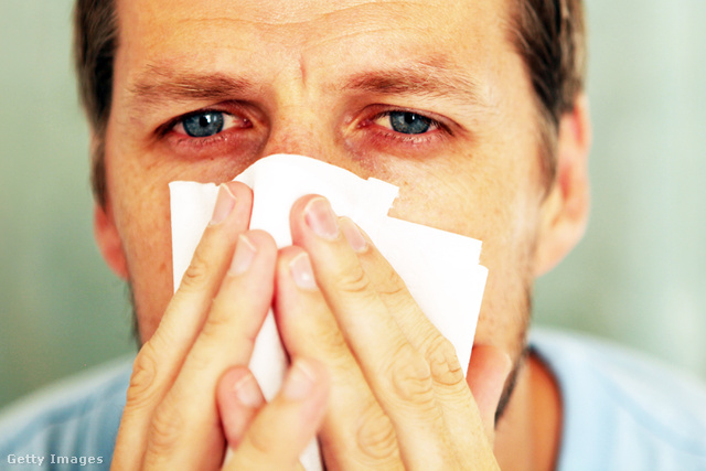 Az allergia növeli a depresszió kialakulásának kockázatát