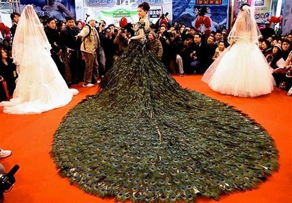 Most-Beautiful-Wedding-Dresses-Peacock-Feather-Wedding-Dress
