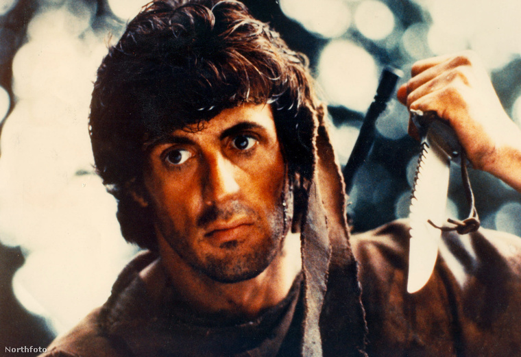 Rambo – Első vérAz első Rambo-film 1982-ben készült, és azért lett olyan sok része még később, mert ezt az elsőt ugyanannyira szerették a kritikusok, mint a közönség: 82%-on áll a tetszési indexe
