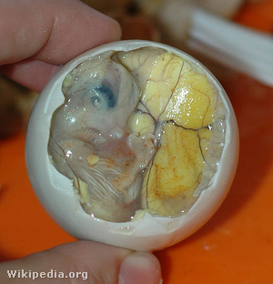576px-Inside a Balut - Embryo and Yolk