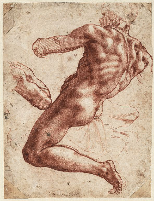 Michelangelo Buonarroti: Seated Male Nude/Ülő férfi akt