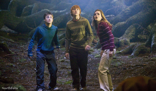 Harry Potter barátaival, Ronnal és Hermionéval