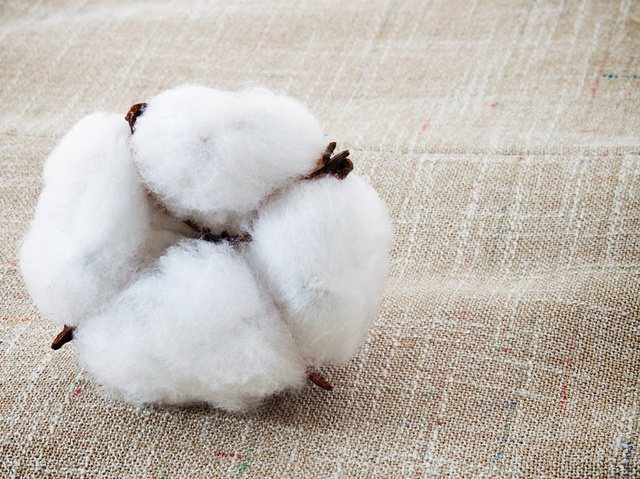 Az organikus textilek tartósak, ugyanakkor később könnyen lebomlanak