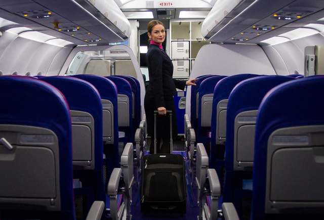 a stewardess-ek visszeresek harisnya terhes nőknek a visszér megelőzése ár