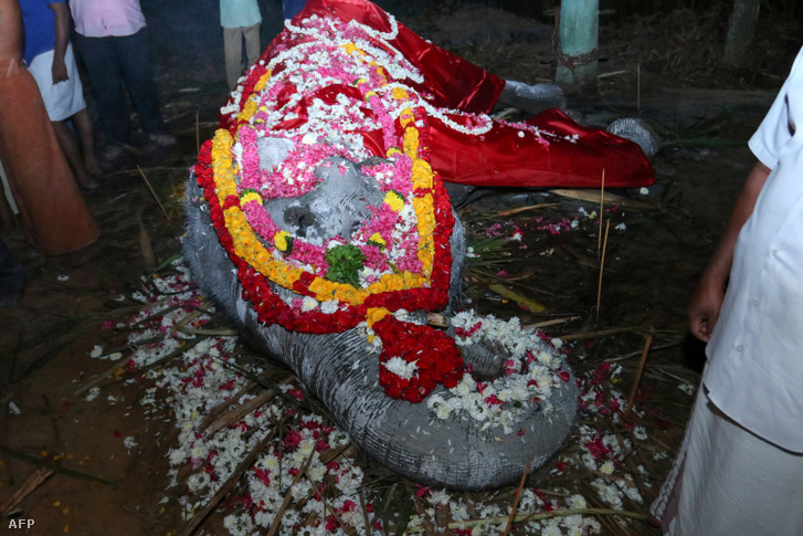 Dakshayani virágokkal feldíszített teteméről készült kép 2019. február 5-én