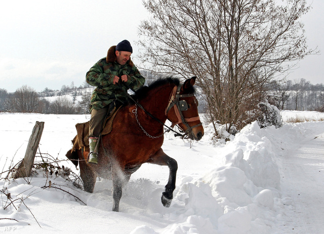 A 45 lelkes szerb Vrapce község határában került lencsevégre ez a vészmegoldásként lóval munkába induló férfi