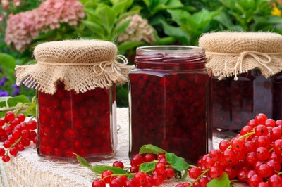 stockfresh 1286552 jars-of-homemade-red-currant-jam-with-fresh-f