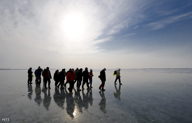 A Tisza-tavi jégtúra résztvevői gyalogolnak Poroszló térségében. A Tisza-tavi Turizmus Fejlesztő Egyesület szervezésében változatos terepen - a Tisza-tó felfagyott medrében jégen nádasokban és ártéri erdőkben - teljesíttették a résztvevők 14 km-es távot.