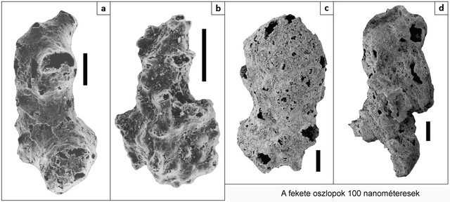 Pásztázó elektronmikroszkóppal kjészült képek az Otavia-fosszíliákról