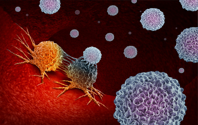 rak-immunterapia-sejtek