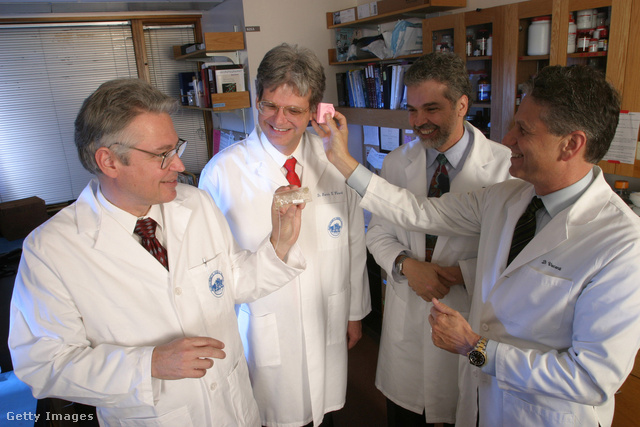 Dr. Charles Vacanti és három testvére, akik mind az emberi test regenerációjával foglalkozó kutatóorvosok