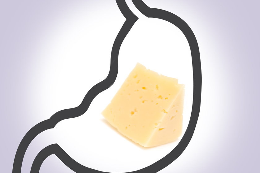 A sajt, azon belül a kemény sajt meglepően hosszú idő alatt bomlik le a gyomorban a maga 3-4 órás emésztési idejével.