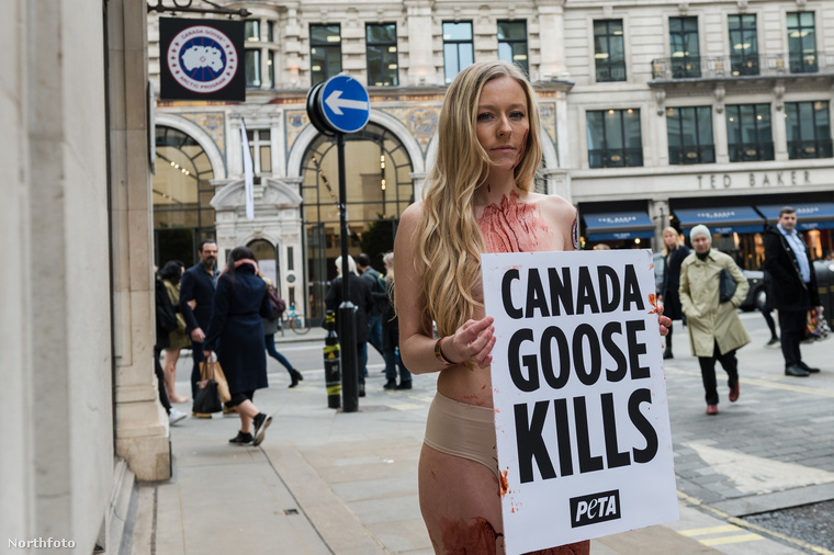 Egyszerű üzenetet fogalmaztak meg: a Canada Goose öl.