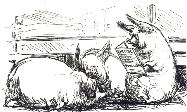 Disznók olvassák Benting Letter on Corpulence-ét – karikatúra a 19. századból