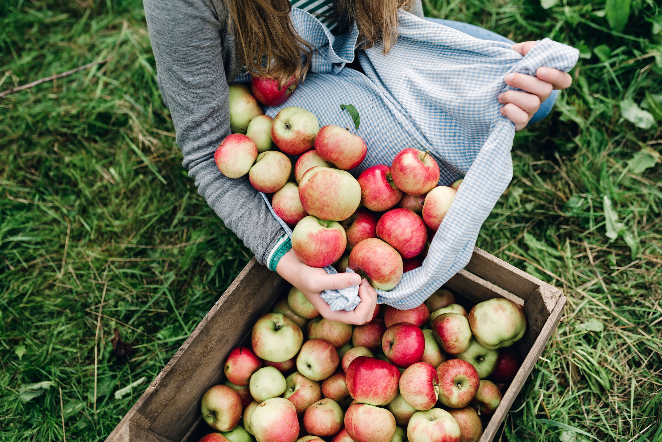 jelzi a napi alma szív egészségét