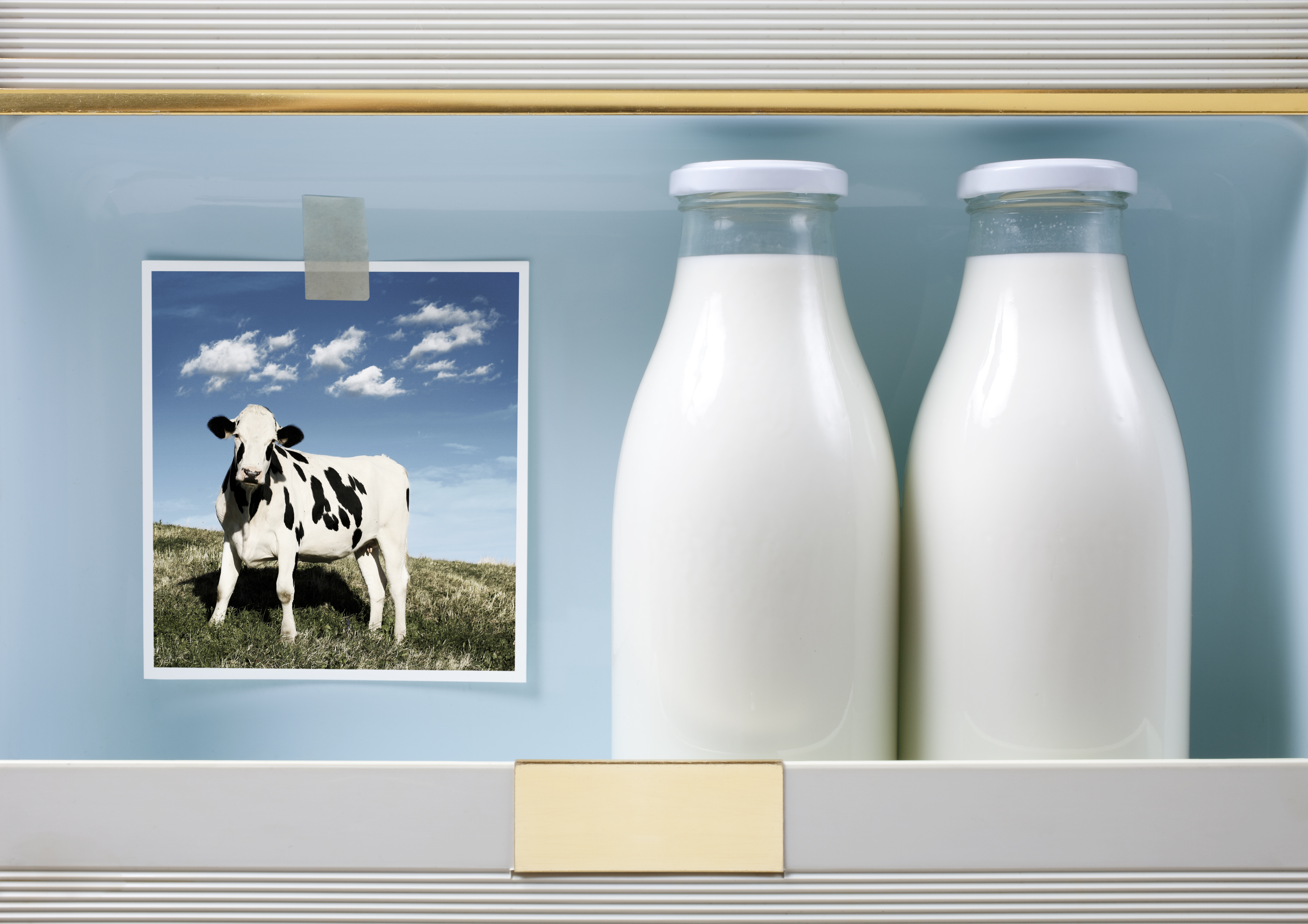 Молоко полученное от коровы 5. Парное молоко. Красивые картины молочки. Йогурт молочная ферма. Молоко на земле.