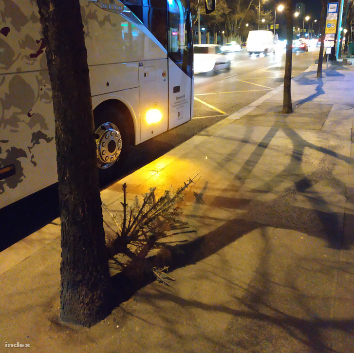 IMG 20190328 202747