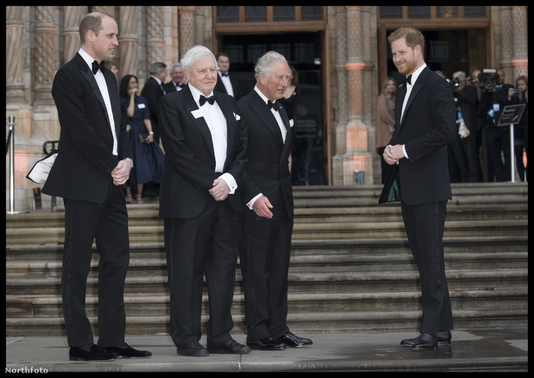 A bal oldalon Vilmos herceg áll, a jobb oldalon Harry herceg, kettejük között középen pedig édesapjuk, Károly herceg brit trónörökös.