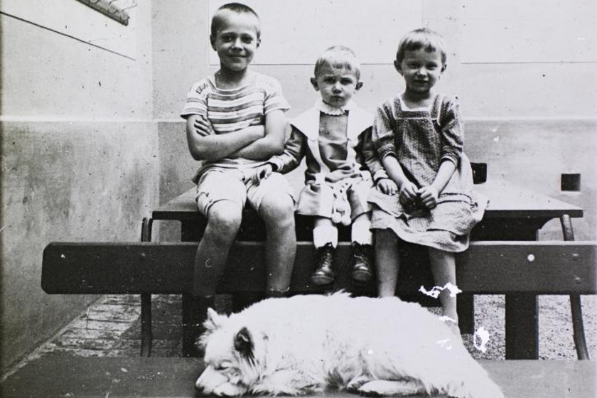 1905-ös felvételen sorakoznak a padon ülő gyerekek négylábú barátjuk álmát őrizve.
