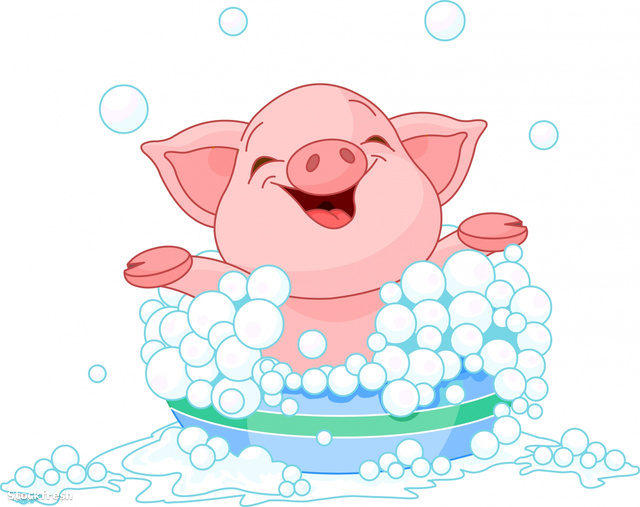 stockfresh 1037287 piglet-taking-a-bath sizeM