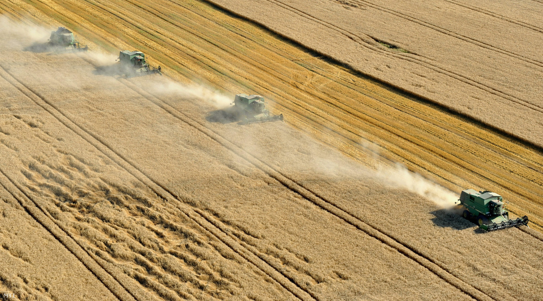 Kombájnok aratják a búzát a Fejér megyei Enying határában, 2009. július 13-án.