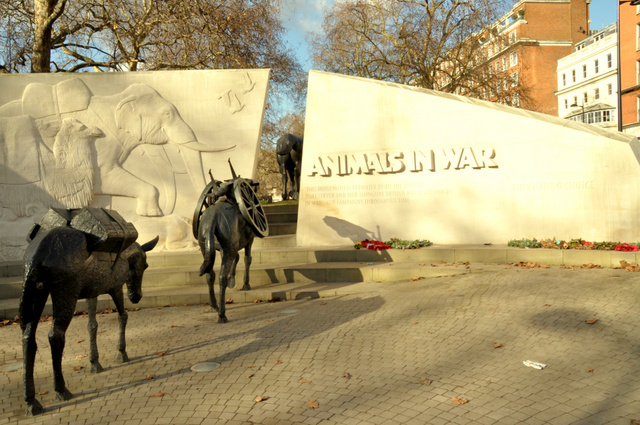 Az Animals in War Memorial emlékmű a londoni Hyde Parkban