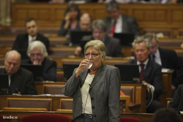 Sokat interpellálták hétfőn Némethnét a parlamentben