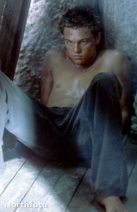 Leonardo DiCaprio a Partban