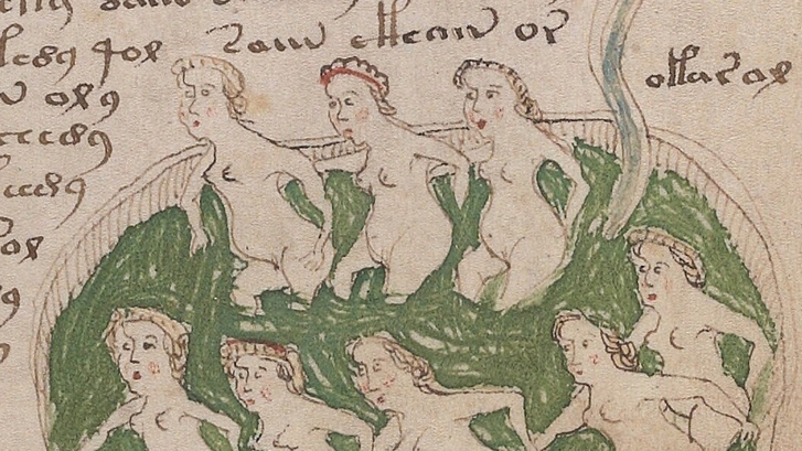 Fürdőző hölgyek a Voynich-kéziratból