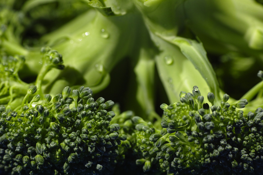 Fél csészényi brokkoliban 11 mikrogramm króm van, így, ha ezen a zöldségen alapul a fogás, szinte meg is van a napi adag. A brokkoli káliumból is sokat tartalmaz, így a pangó víz elhajtásával is segíti a fogyást.