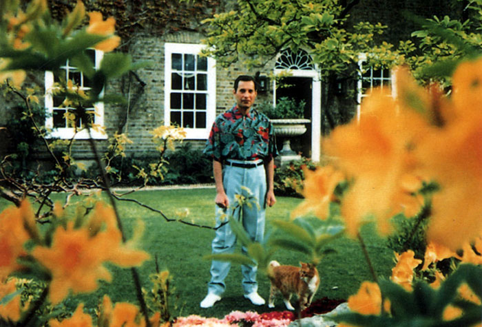 Freddie Mercury-t a kertjében kapták le utoljára, 1991 nyarán. Már itt is látszottak rajta a betegség jelei, azonban még nem épült le teljesen.