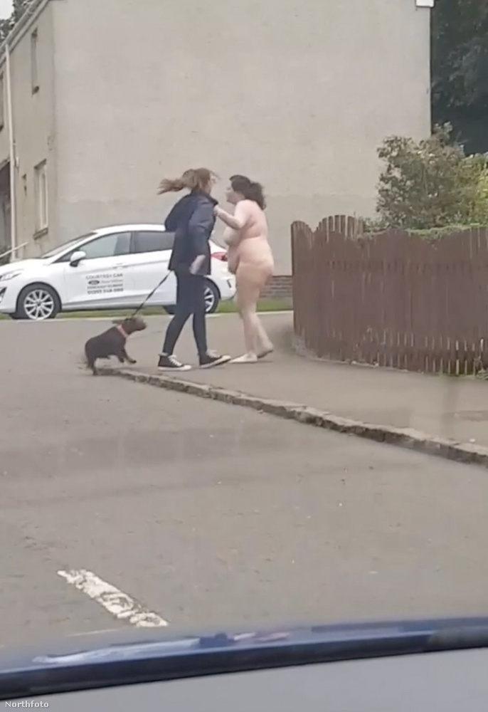 A csupasz asszony először egy kutyát sétáltató nő felé iramodott, majd heves szóváltásba kezdtek