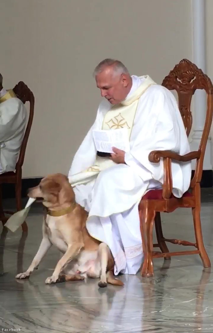 dog-interrupts-church-service-nossa-senhora-das-dores-2-5d0a06ae