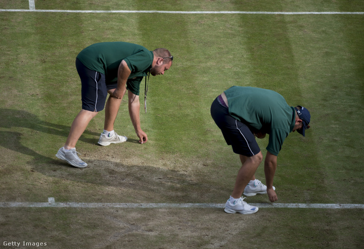 Pályamunkások szedik fel a kiesett fűdarabokat Wimbledonban