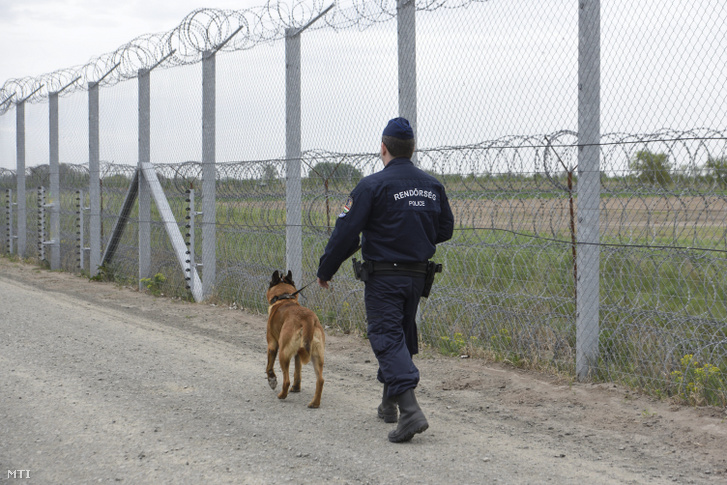 Kutyás járőr a szerb-magyar határon álló biztonsági határzár első és második kerítéssora között futó manőverúton Röszke térségében