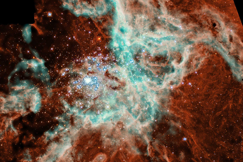 A Trantula-köd az Aranyhal (Doradus) csillagképben található, része a Nagy Magellán-felhőnek. A Lokális Csoport legaktívabb csillagkeletkezési helye, ide tartozik a tejútrendszer is. A képet 1994 és 2000 között készült felvételek rétegzéséből kapták, melynek fényes részén jól látszik az új csillagok keletkezése.