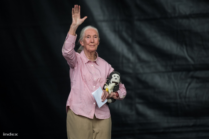 Jane Goodall, Ph.D., DBE, a Jane Goodall Intézet alapítója és az ENSZ békenagykövete.