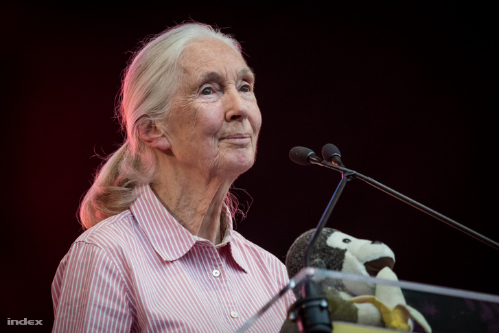 Jane Goodall, Ph.D., DBE, a Jane Goodall Intézet alapítója és az ENSZ békenagykövete.